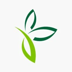 Geurstokjes Spaas - 80ml - Mist Of Nostalgia